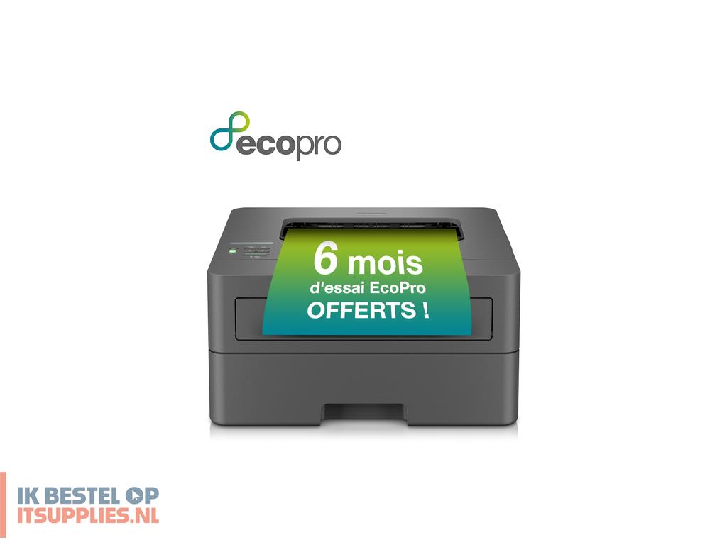 0507448-brother_hl-l2400dwe_laserprinter_1200_x_1200_dpi_a4_wifi