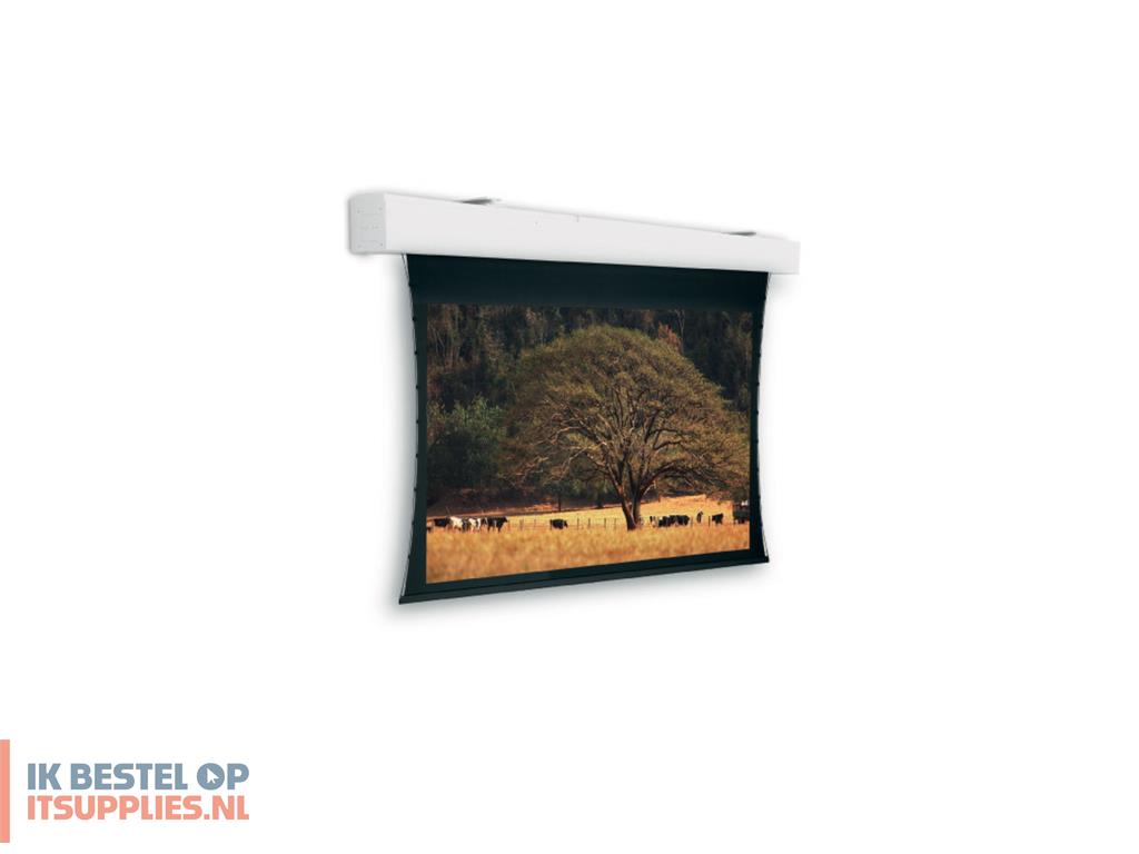 0137493-da-lite_tensioned_elpro_large_electrol_projectiescherm_4-47_m_176_169