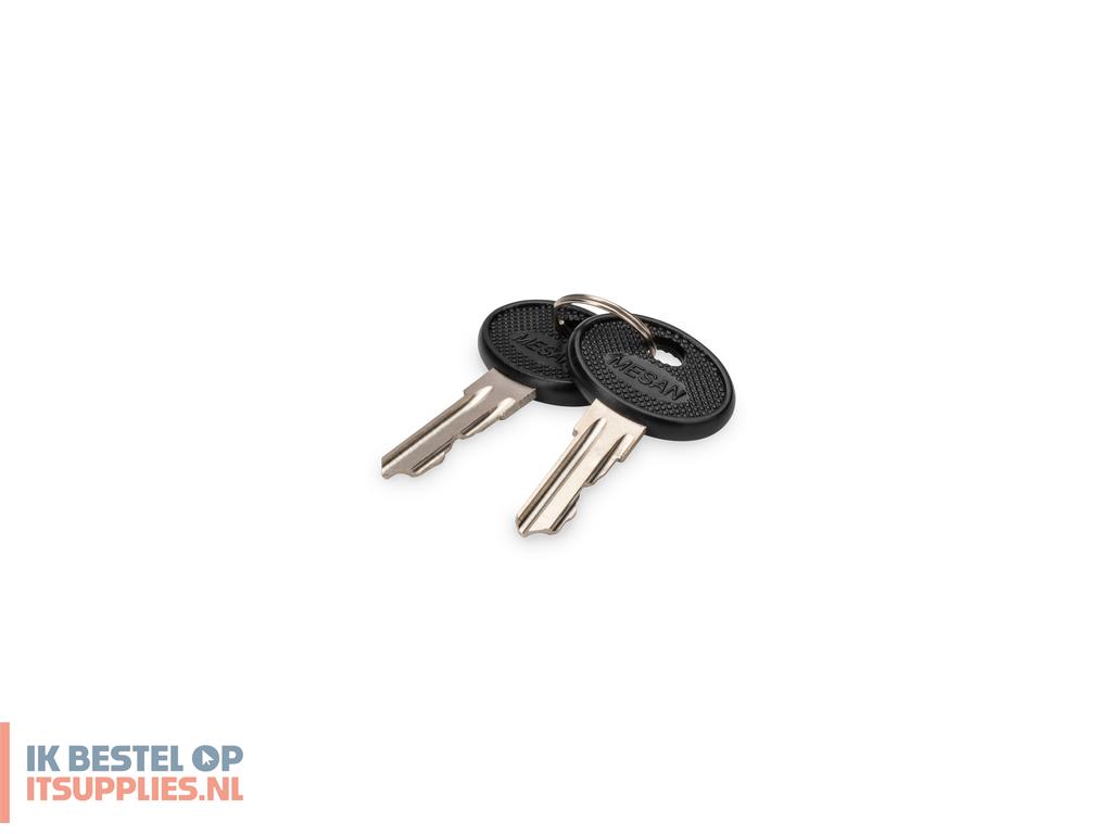 1846459-digitus_dn-19-key-4444_rack-toebehoren_vergrendelsleutel
