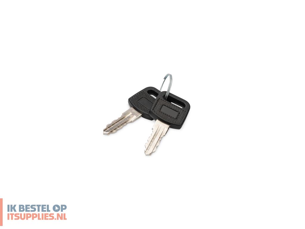 4850012-digitus_dn-key-wm_rack-toebehoren_vergrendelsleutel