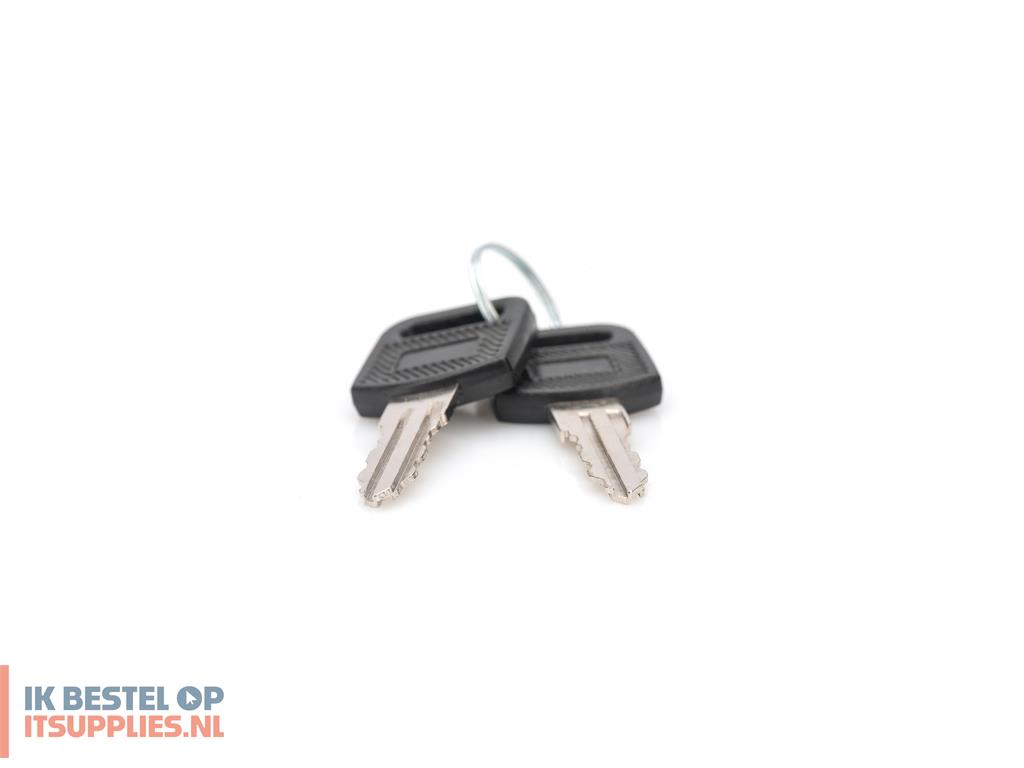 4853721-digitus_dn-key-wm_rack-toebehoren_vergrendelsleutel