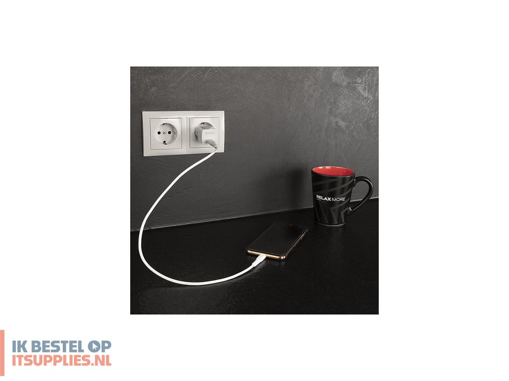5000208-lindy_73410_oplader_voor_mobiele_apparatuur_smartphone_wit_ac_binnen