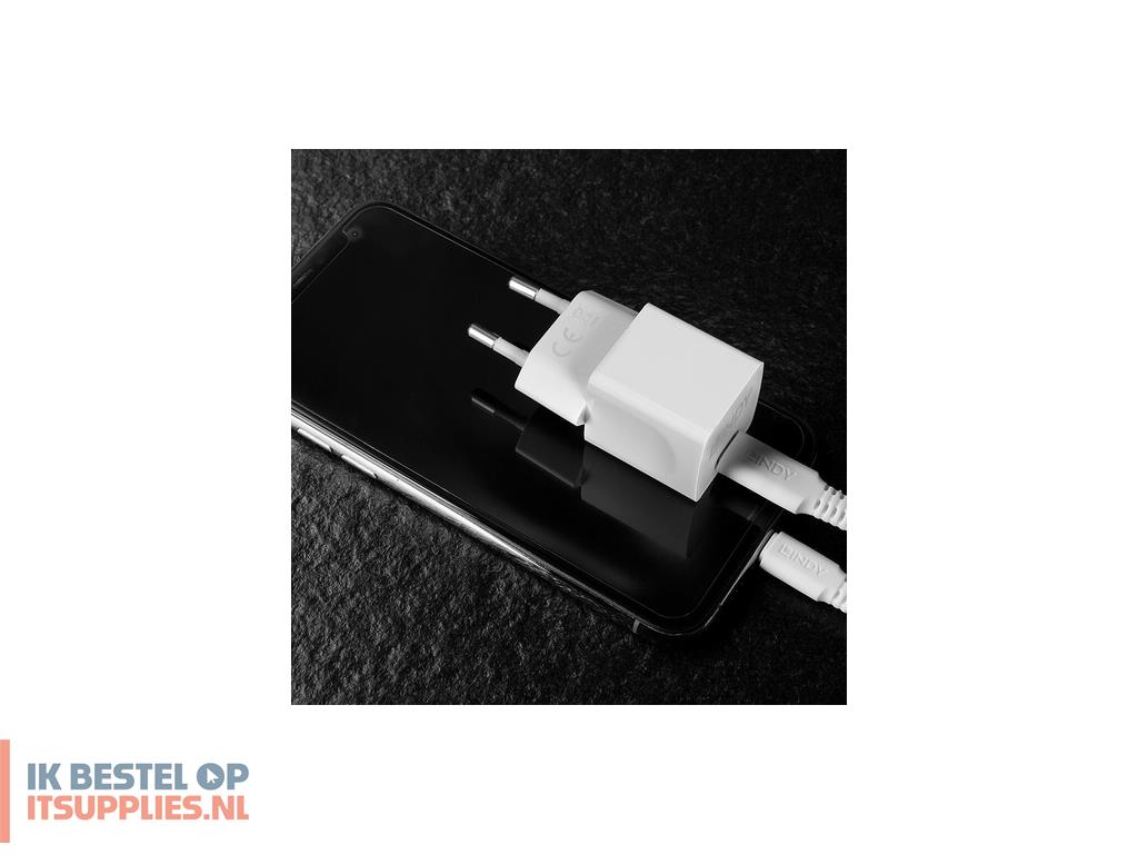 5003688-lindy_73410_oplader_voor_mobiele_apparatuur_smartphone_wit_ac_binnen