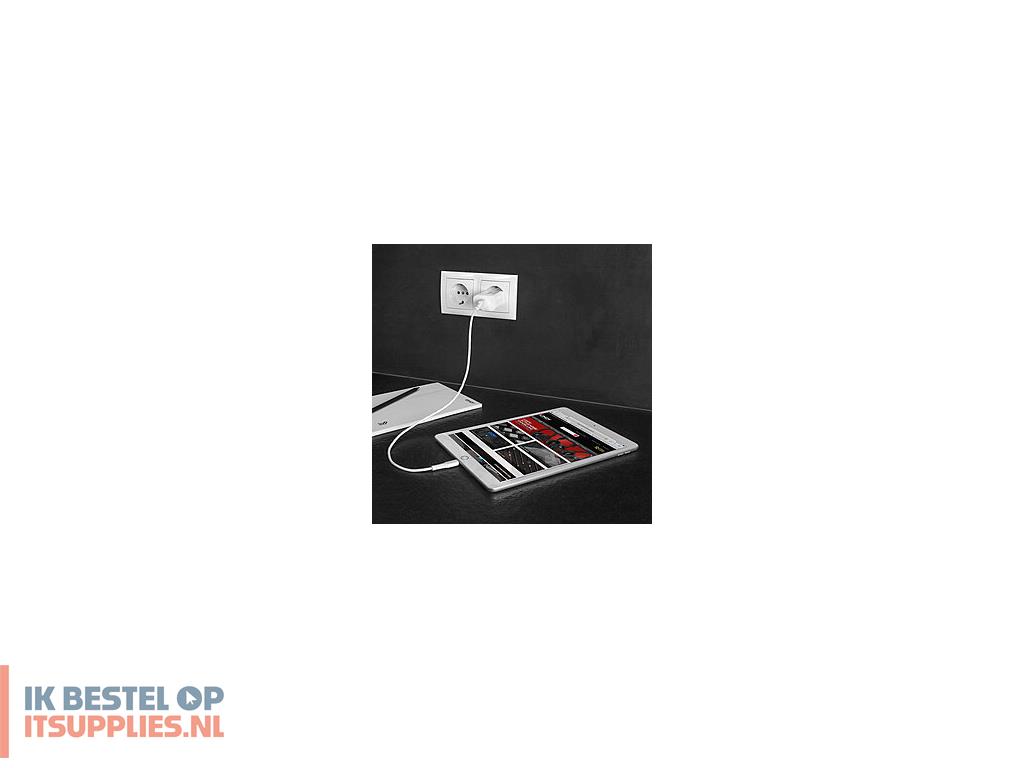 1522010-lindy_73412_oplader_voor_mobiele_apparatuur_smartphone-_tablet_wit_ac_snel_opladen_binnen-_buiten