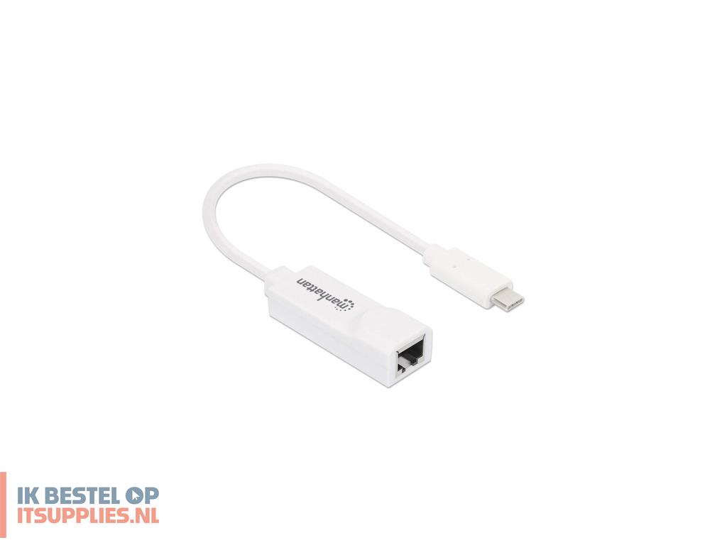 1516897-manhattan_507585_netwerkkaart_ethernet_100_mbits