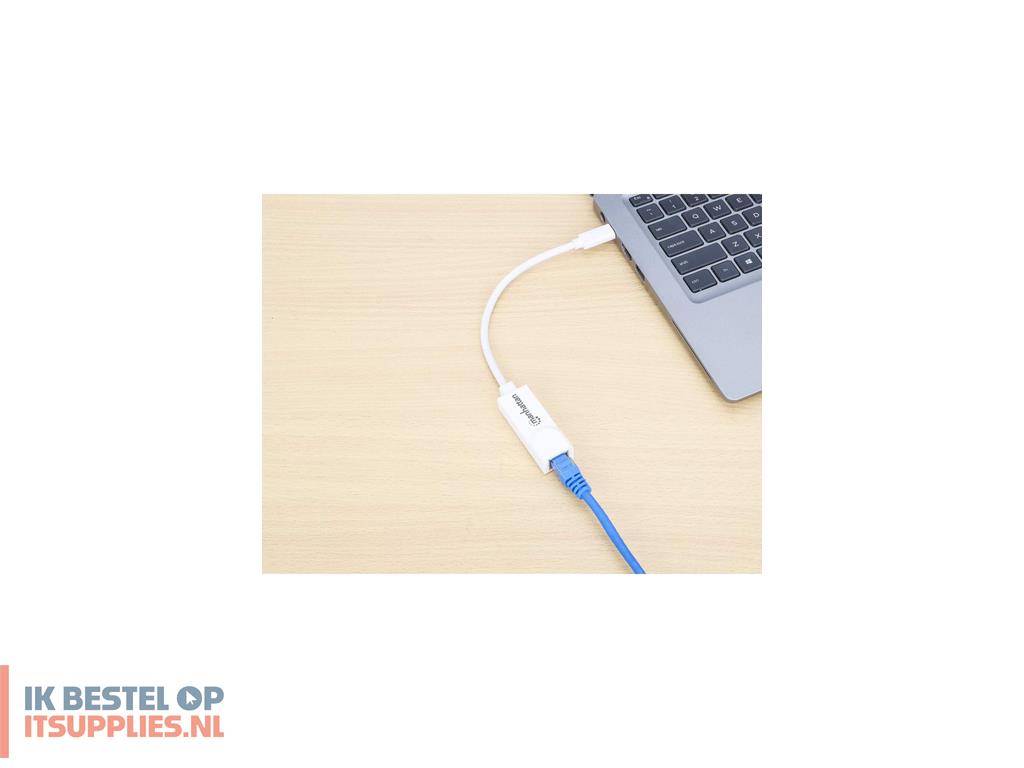 1520782-manhattan_507585_netwerkkaart_ethernet_100_mbits
