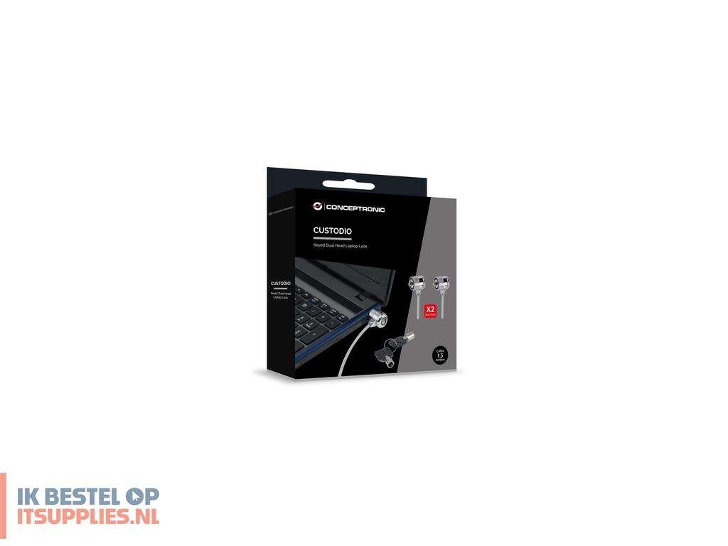 1856239-conceptronic_cnbslock15t_kabelslot_zilver_1-5_m