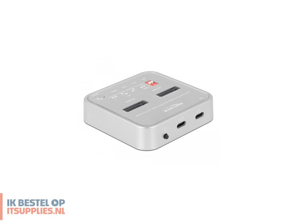 4310994-delock_64138_basisstation_voor_opslagstations_zilver