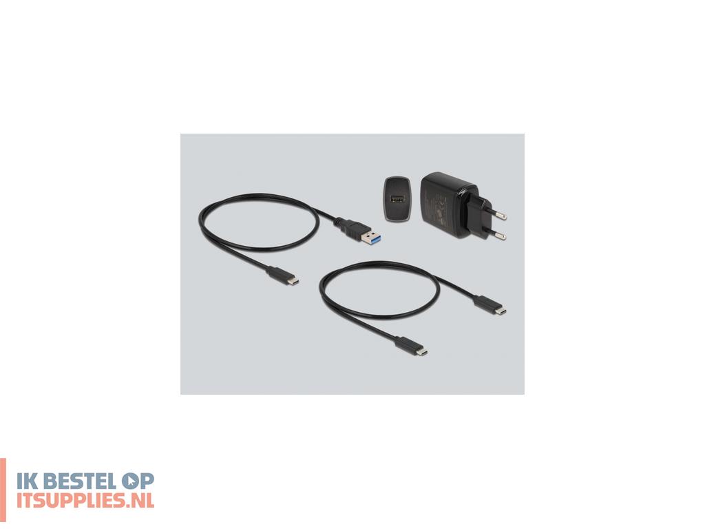 4438719-delock_64138_basisstation_voor_opslagstations_zilver