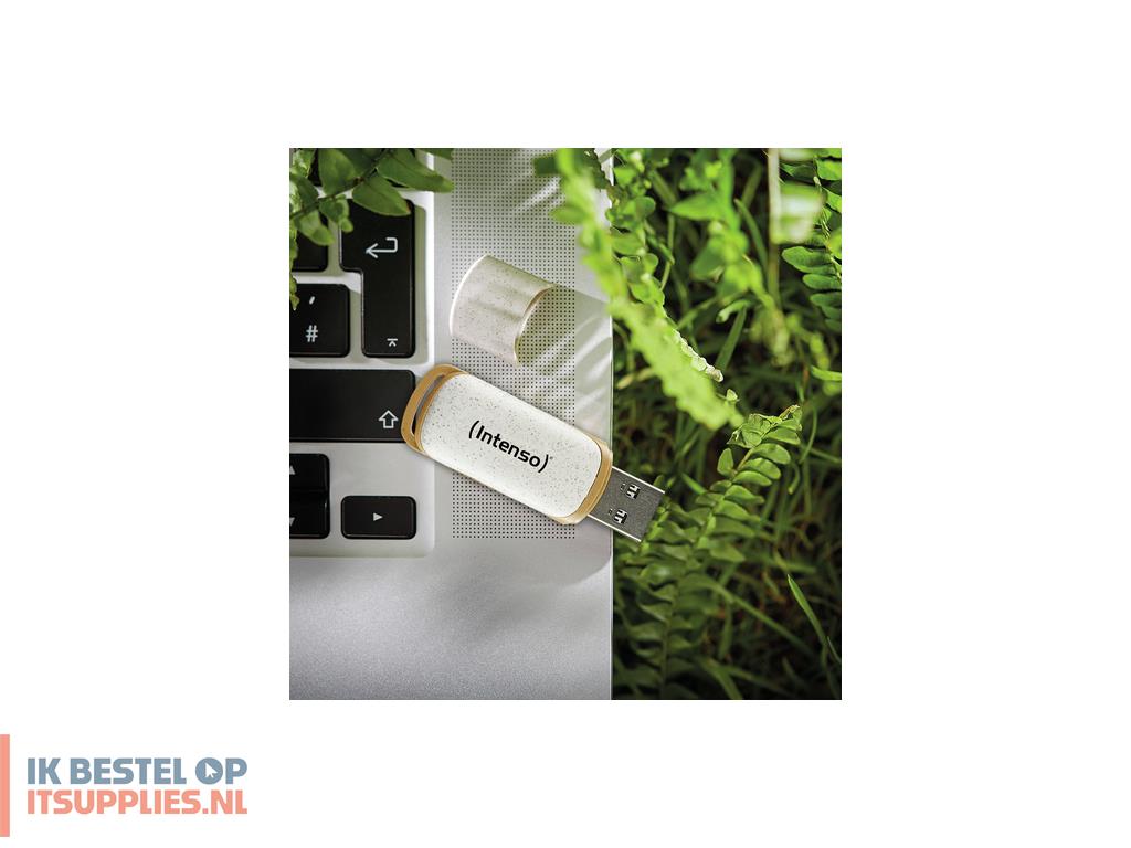 4654732-intenso_green_line_usb_flash_drive_128_gb_usb_type-a_32_gen_1_31_gen_1_beige-_bruin