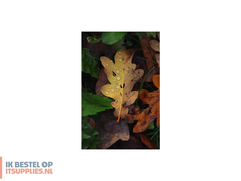 1023126-canon_eos_r50-_black_rf-s_18-45mm_f45-63_is_stm_kit_milc_24-2_mp_cmos_6000_x_4000_pixels_zwart