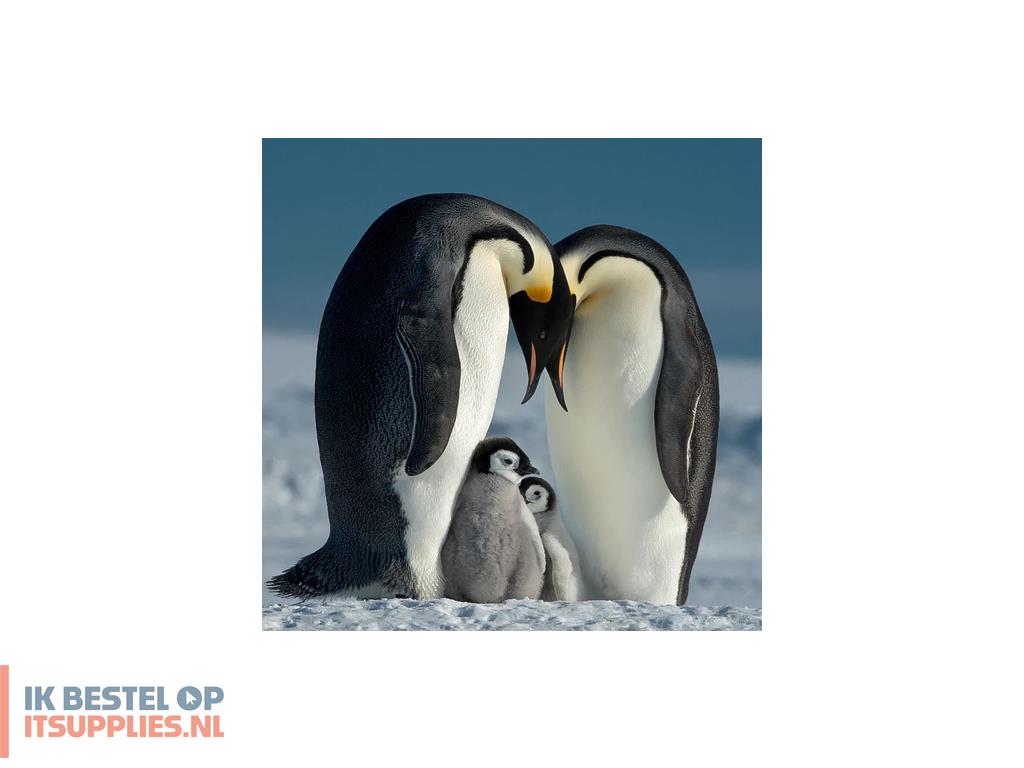 3255661-bw_t-pro_007_clear_filter_voor_cameras_43_mm