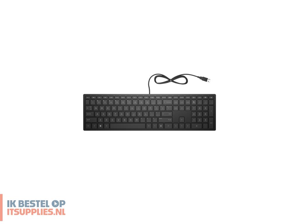 1528698-hp_pavilion_wired_keyboard_300_toetsenbord_kantoor_usb_zwart