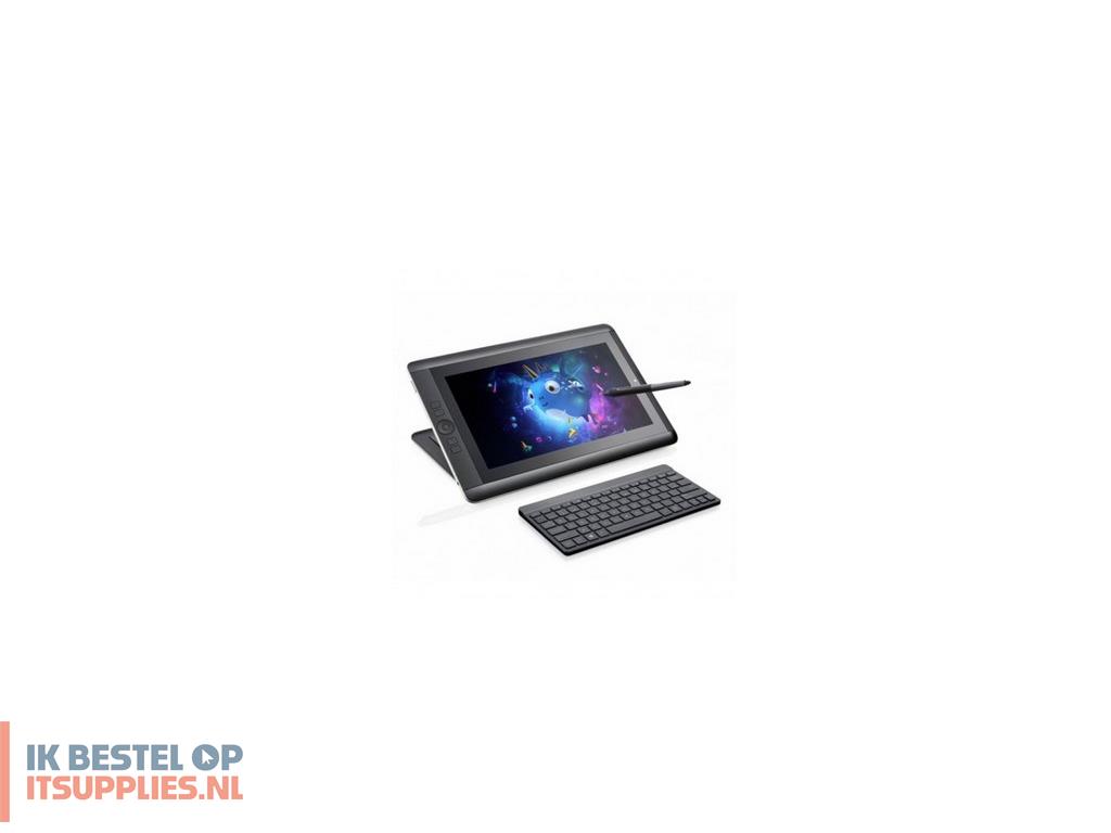 0215264-wacom_cintiq_dth-w1300l-cp_grafische_tablet_zwart-_grijs_5080_lpi_294_x_165_mm_usb