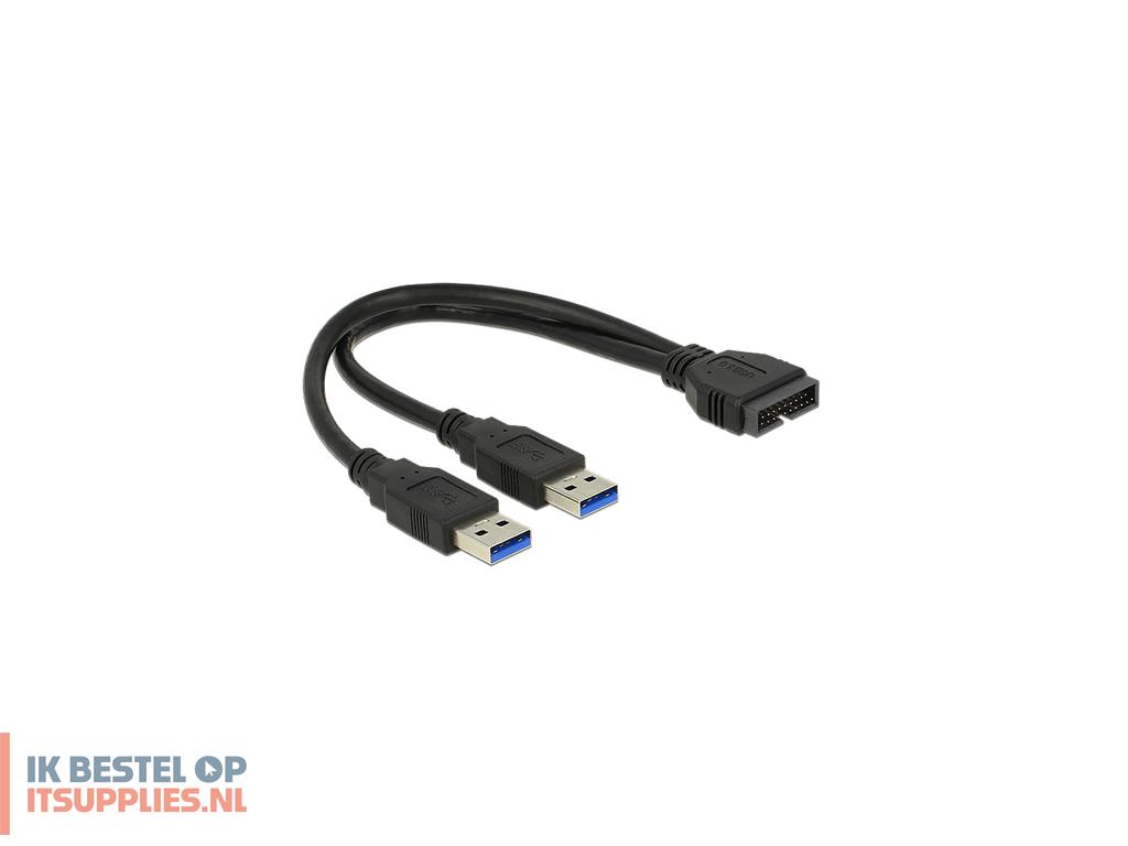 0138573-delock_025m_usb302xusb30_usb-kabel_usb_32_gen_1_31_gen_1_0-25_m_2_x_usb_a_zwart