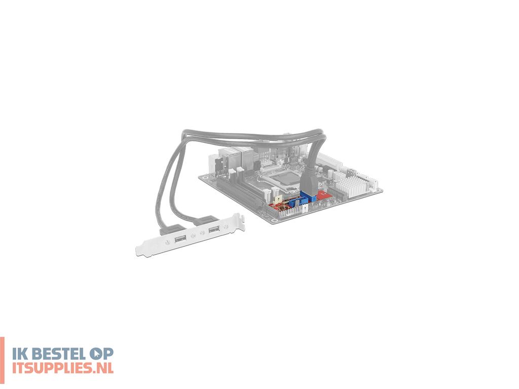 3600393-delock_62843_interfacekaart-adapter_intern_usb_32_gen_1_31_gen_1