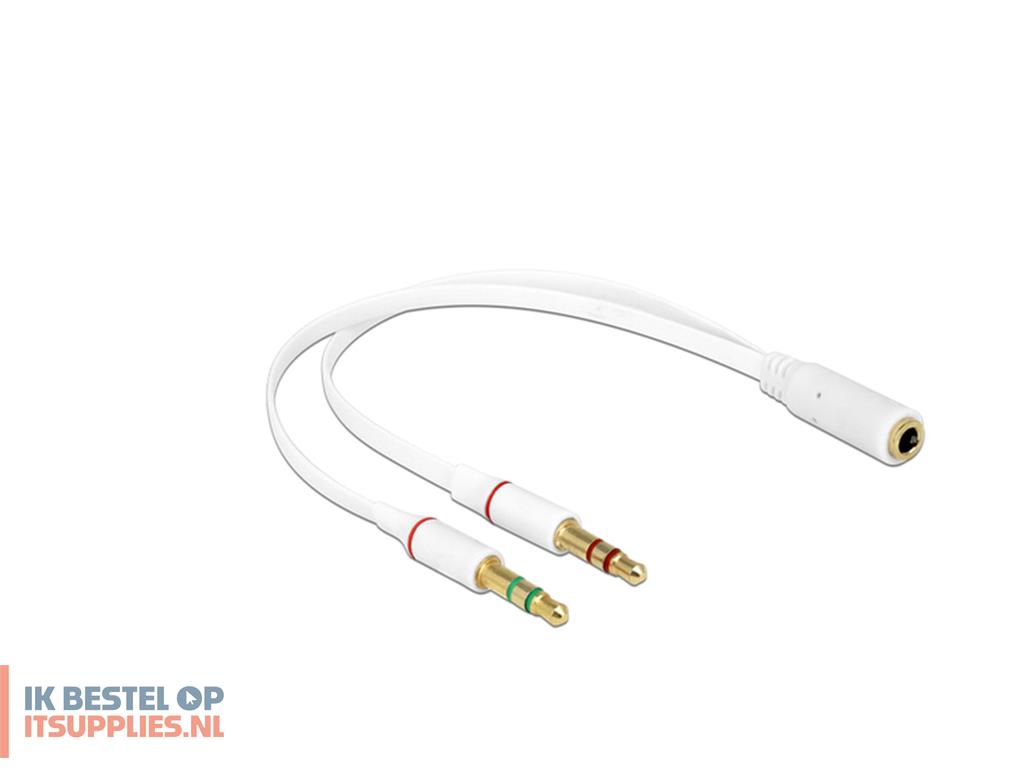 3210375-delock_65585_audio_kabel_0-2_m_2_x_35mm_35mm_wit