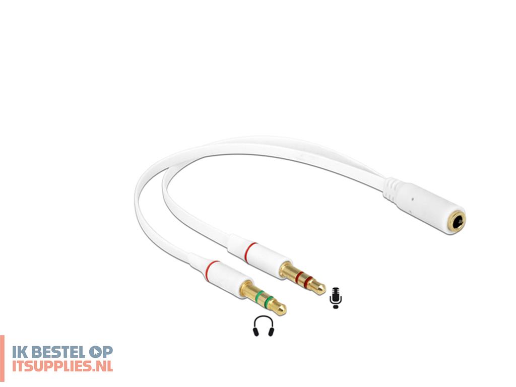3213101-delock_65585_audio_kabel_0-2_m_2_x_35mm_35mm_wit