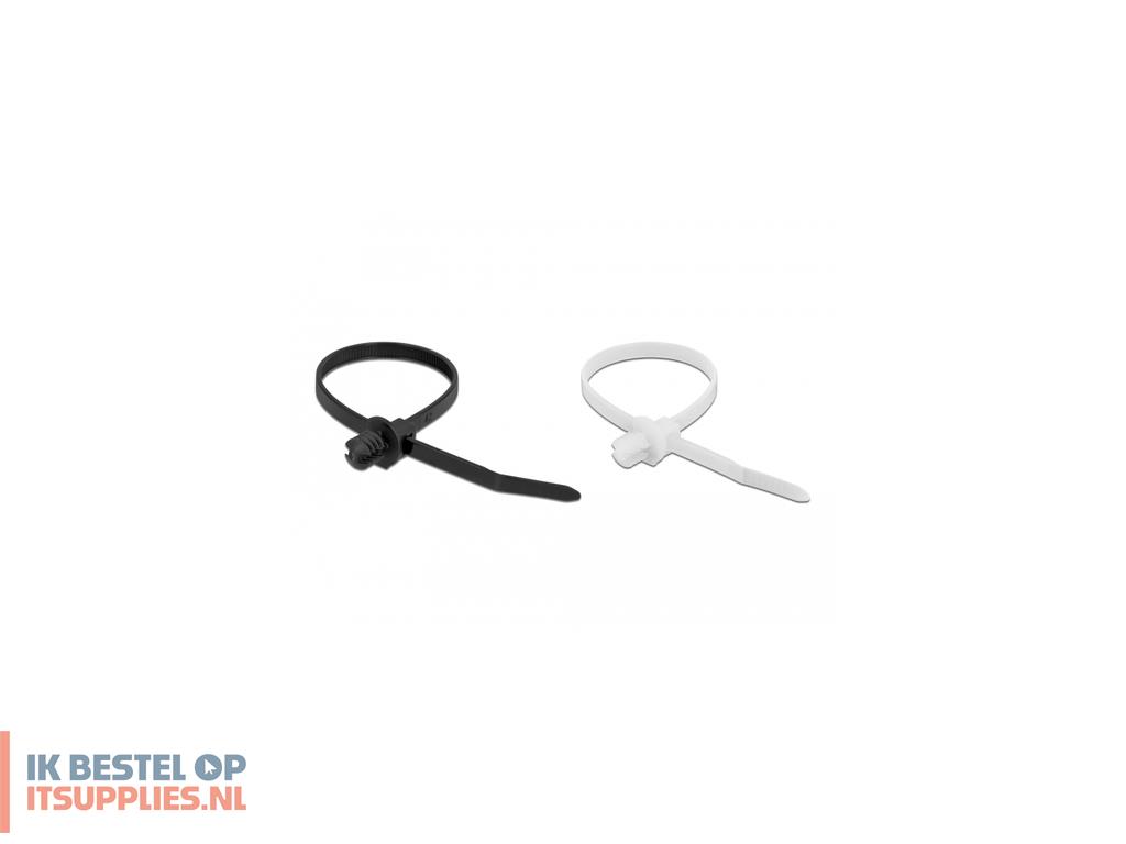 4519491-delock_19502_kabelbinder_kabelbinder_met_parallelle_doorvoer_polyamide_zwart-_transparant_100_stuks