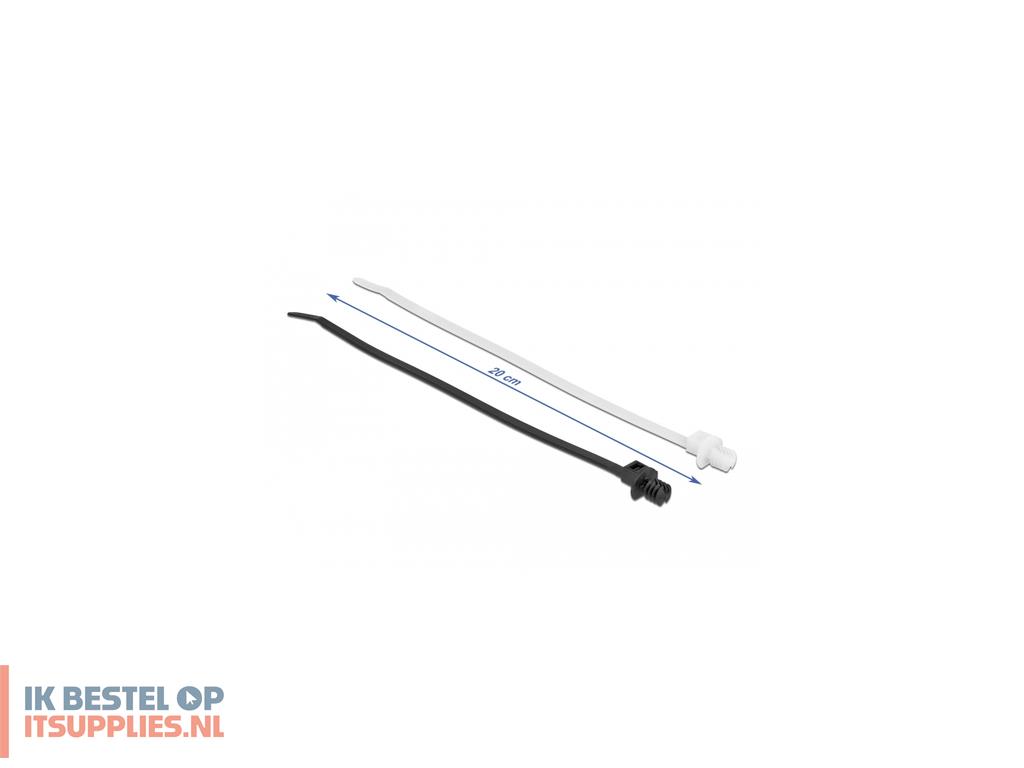 4522044-delock_19502_kabelbinder_kabelbinder_met_parallelle_doorvoer_polyamide_zwart-_transparant_100_stuks