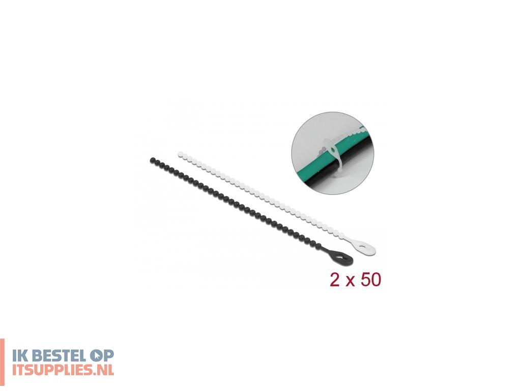 3345117-delock_19506_kabelbinder_bevestigingssokkel_polyamide_zwart-_wit_100_stuks