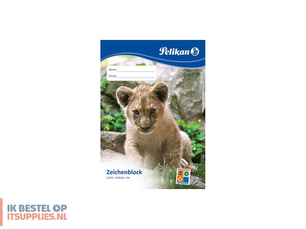 4634480-pelikan_224816_creatief_papier_papierblok_voor_handenarbeid_10_vel