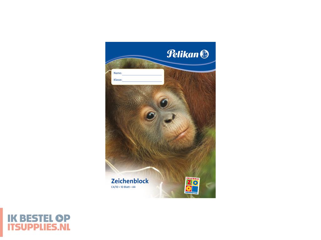 4641957-pelikan_224816_creatief_papier_papierblok_voor_handenarbeid_10_vel