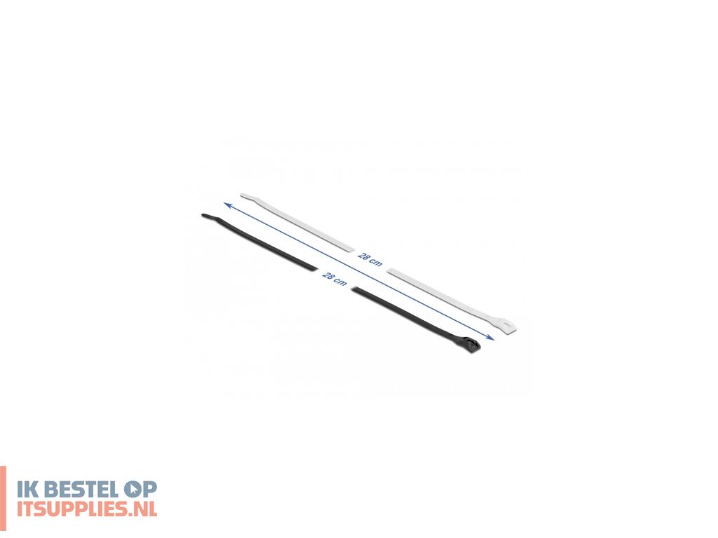 3141487-delock_19490_kabelbinder_kabelbinder_met_parallelle_doorvoer_polyamide_zwart-_transparant_100_stuks