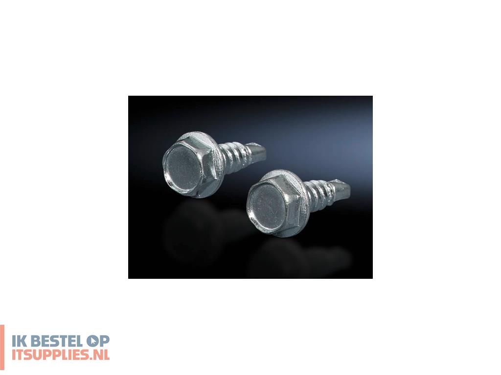 0323773-rittal_sz_2487000_9-5_mm_300_stuks_schroef