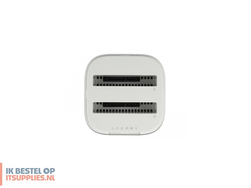 5045894-delock_63084_basisstation_voor_opslagstations_usb_32_gen_2_31_gen_2_type-c_wit