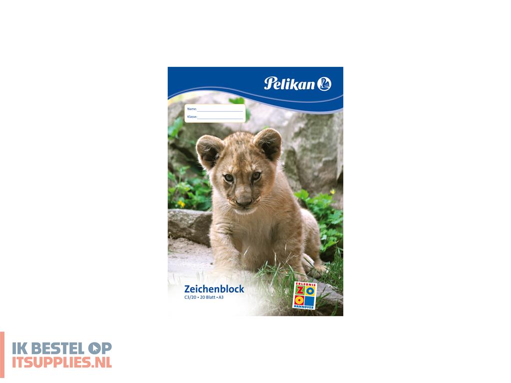 3110848-pelikan_224840_creatief_papier_papierblok_voor_handenarbeid_20_vel