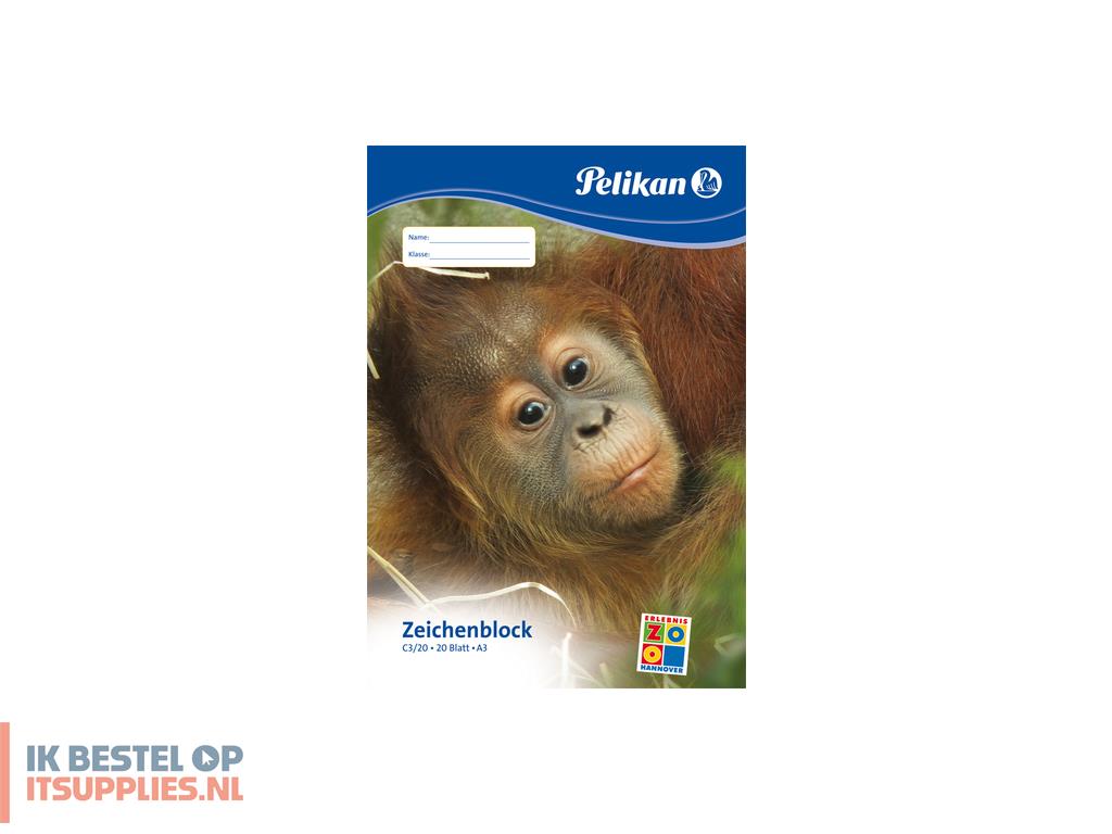 3114173-pelikan_224840_creatief_papier_papierblok_voor_handenarbeid_20_vel