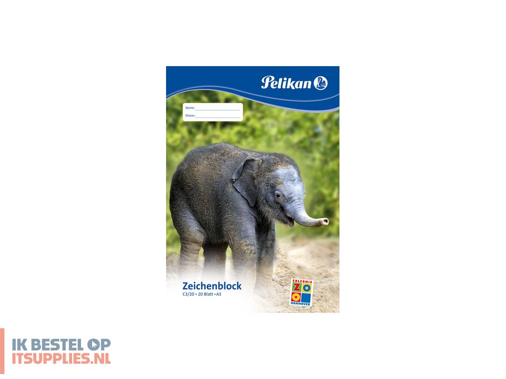 3117462-pelikan_224840_creatief_papier_papierblok_voor_handenarbeid_20_vel