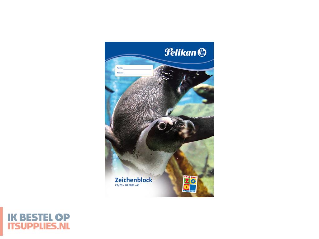 3120157-pelikan_224840_creatief_papier_papierblok_voor_handenarbeid_20_vel