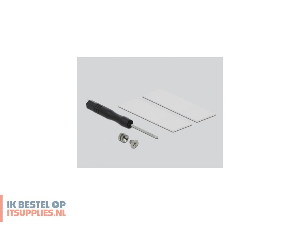 3116998-delock_64105_interfacekaart-adapter_m2