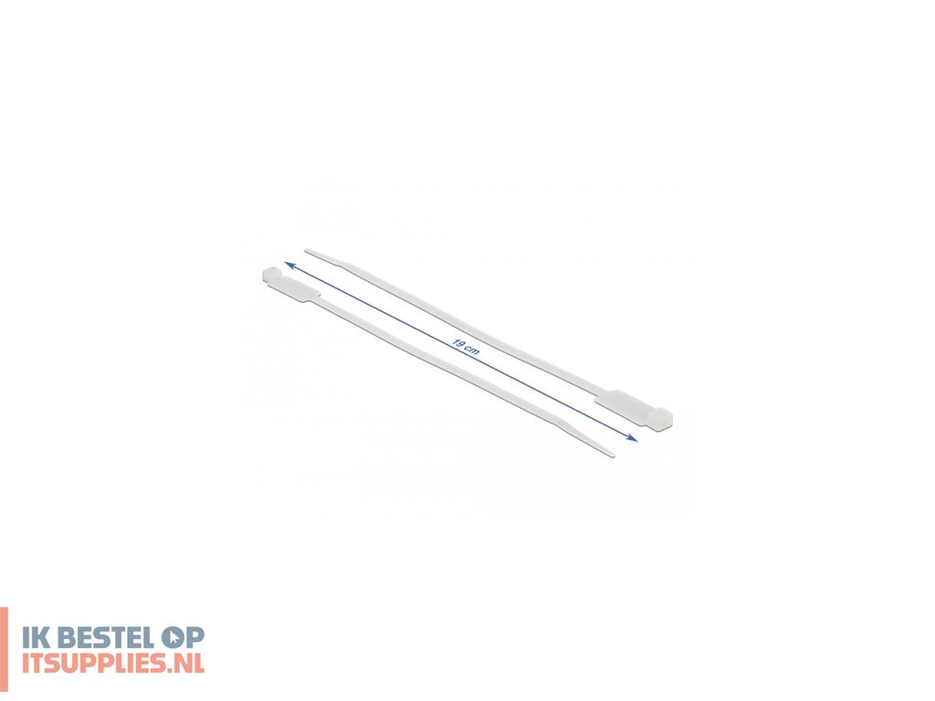 4543425-delock_18956_kabelbinder_kabelbinder_met_parallelle_doorvoer_polyamide_wit_10_stuks