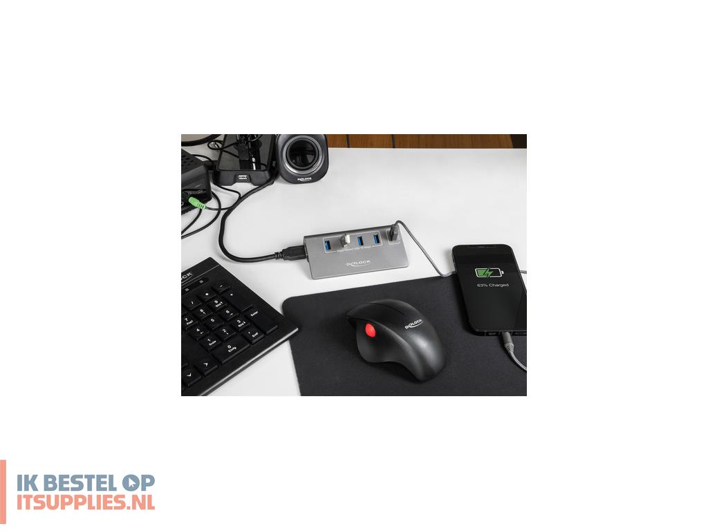 3303192-delock_64182_interface_hub_usb_32_gen_2_31_gen_2_type-a_10_mbits_grijs