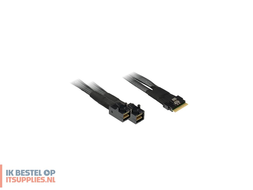 4225302-inter-tech_sff-8654_8i_-_2x_sff-8643_24_gbits_zwart