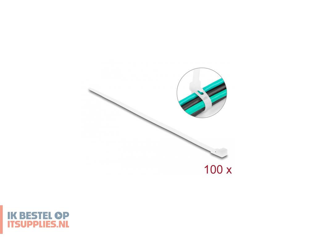3107653-delock_18642_kabelbinder_haak_lus_kabelbinder_nylon_wit_100_stuks