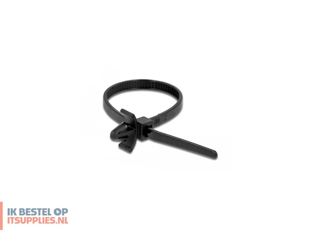 1753302-delock_18893_kabelbinder_losmaakbare_kabelbinder_nylon_zwart_10_stuks