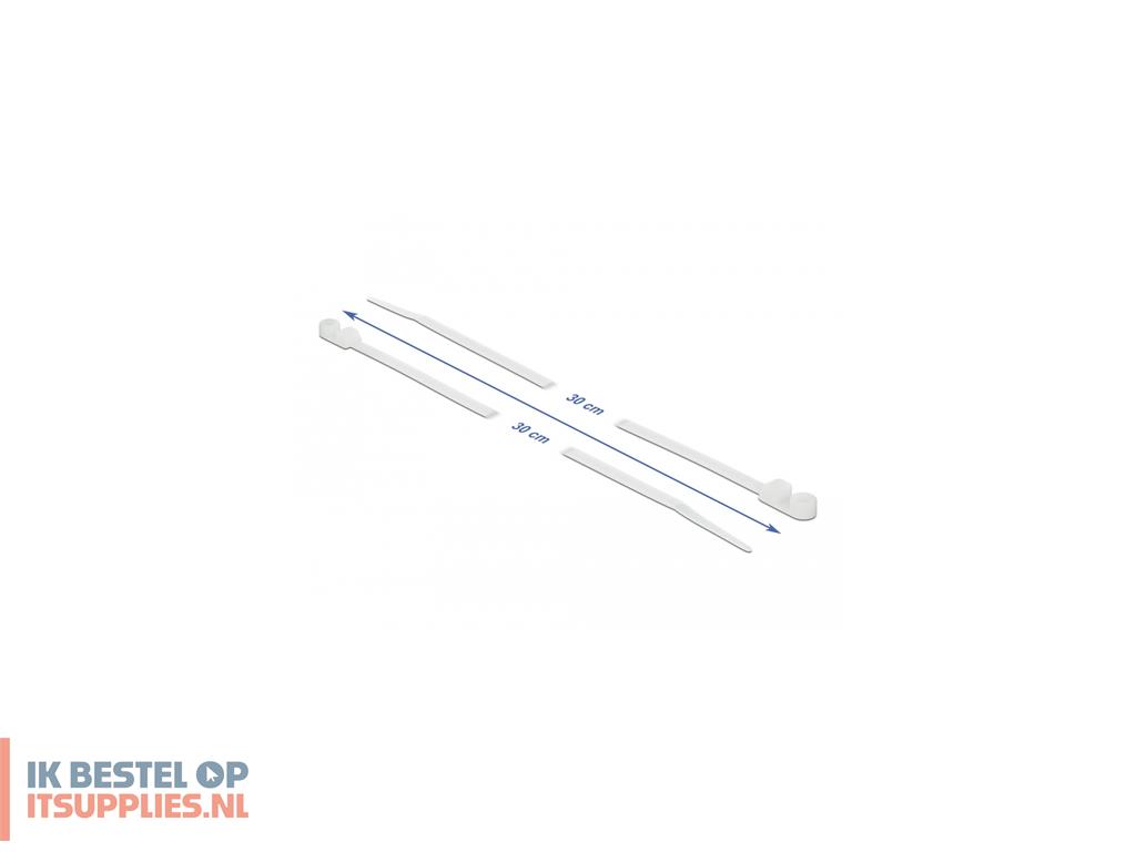 1826979-delock_18946_kabelbinder_kabelbinder_met_parallelle_doorvoer_polyamide_wit_10_stuks