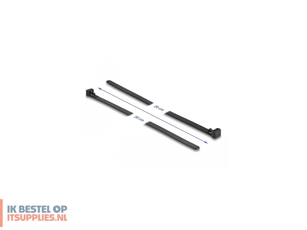 4804929-delock_19064_kabelbinder_haak_lus_kabelbinder_nylon_zwart_100_stuks