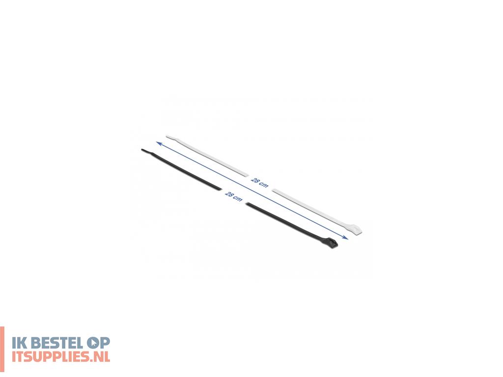 1834704-delock_19483_kabelbinder_kabelbinder_met_parallelle_doorvoer_polyamide_zwart-_transparant_100_stuks