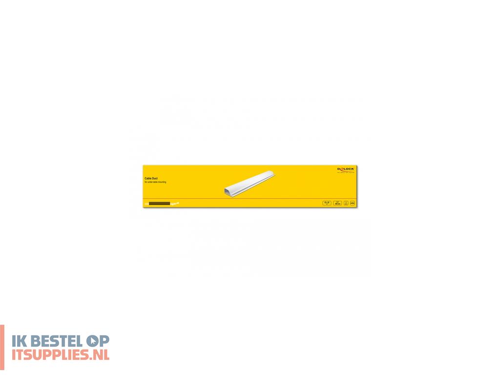 1816630-delock_20885_kabelbeheersysteem_bureau_kabelkanaal_wit_2_stuks