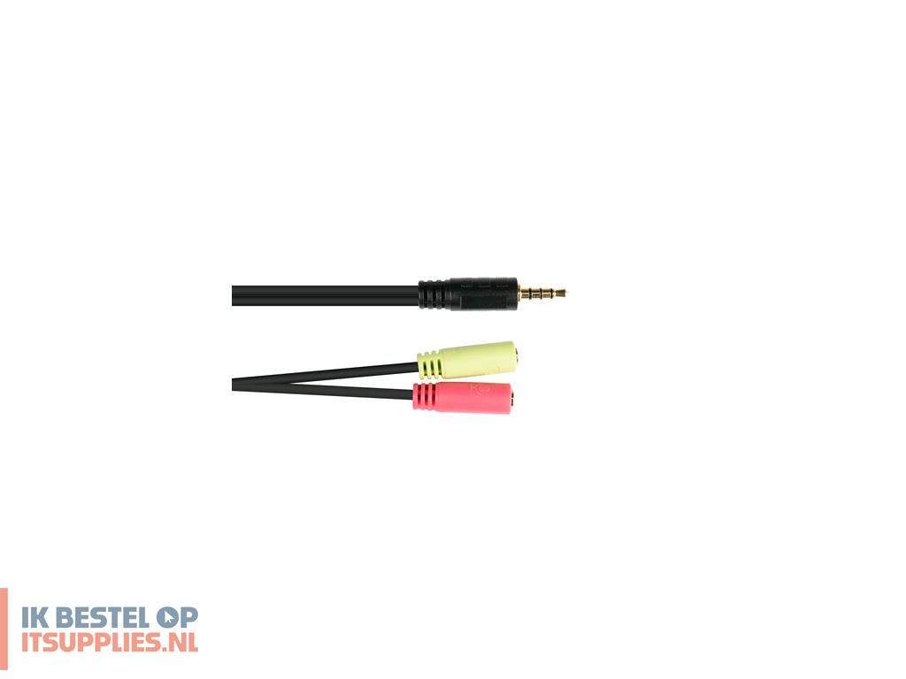 0438083-alcasa_ad-hs03_audio_kabel_0-2_m_35mm_2_x_35mm_zwart