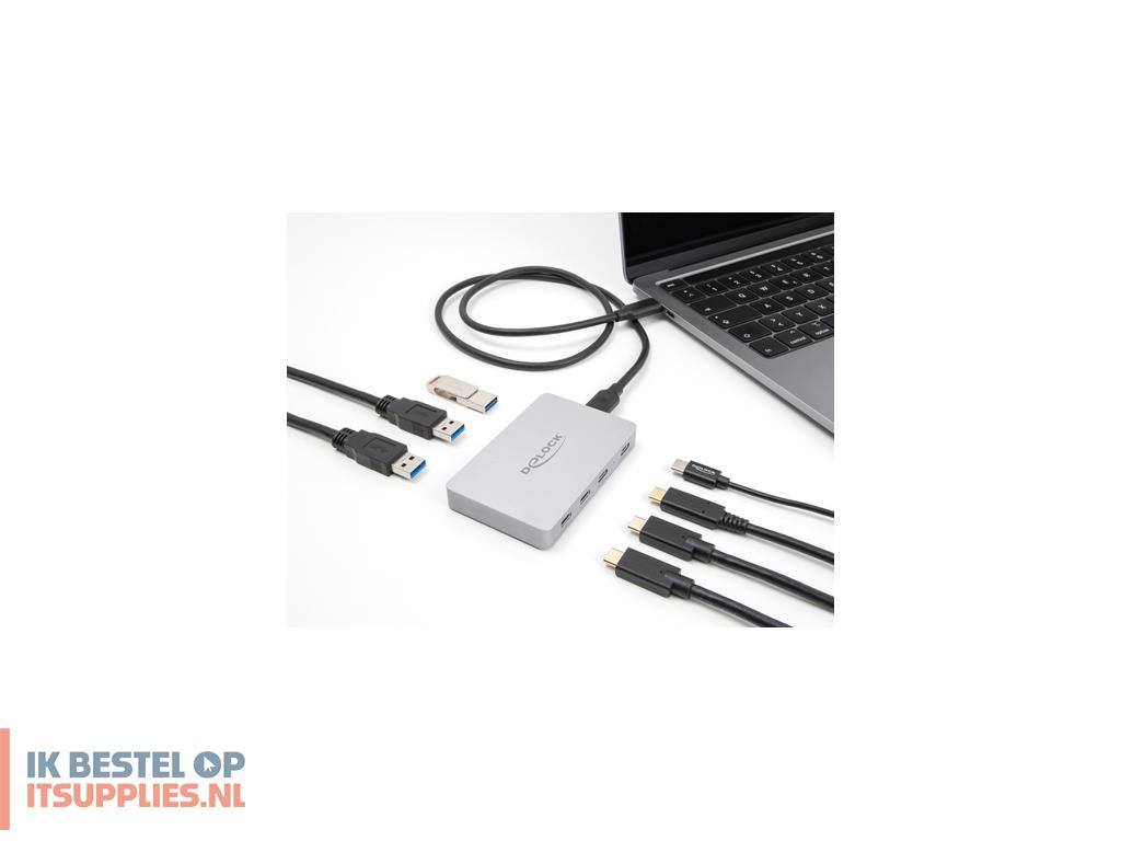 1553845-delock_64279_interface_hub_usb_32_gen_2_31_gen_2_type-c_10000_mbits_grijs