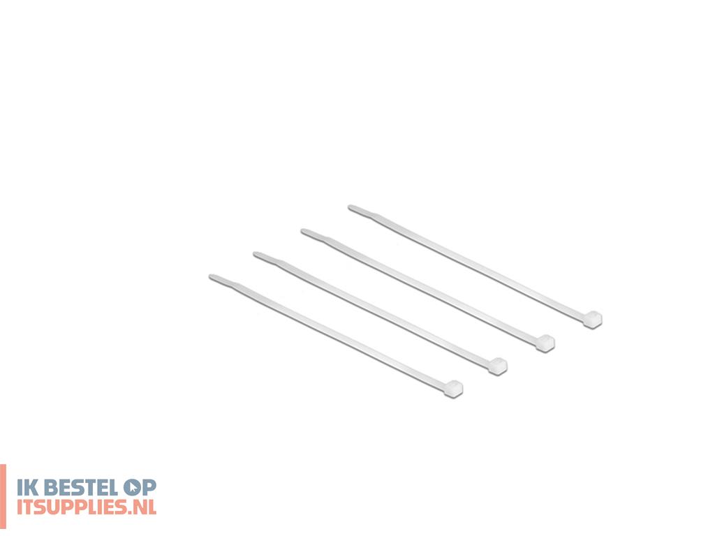 1934058-delock_18606_kabelbinder_nylon_transparant_100_stuks