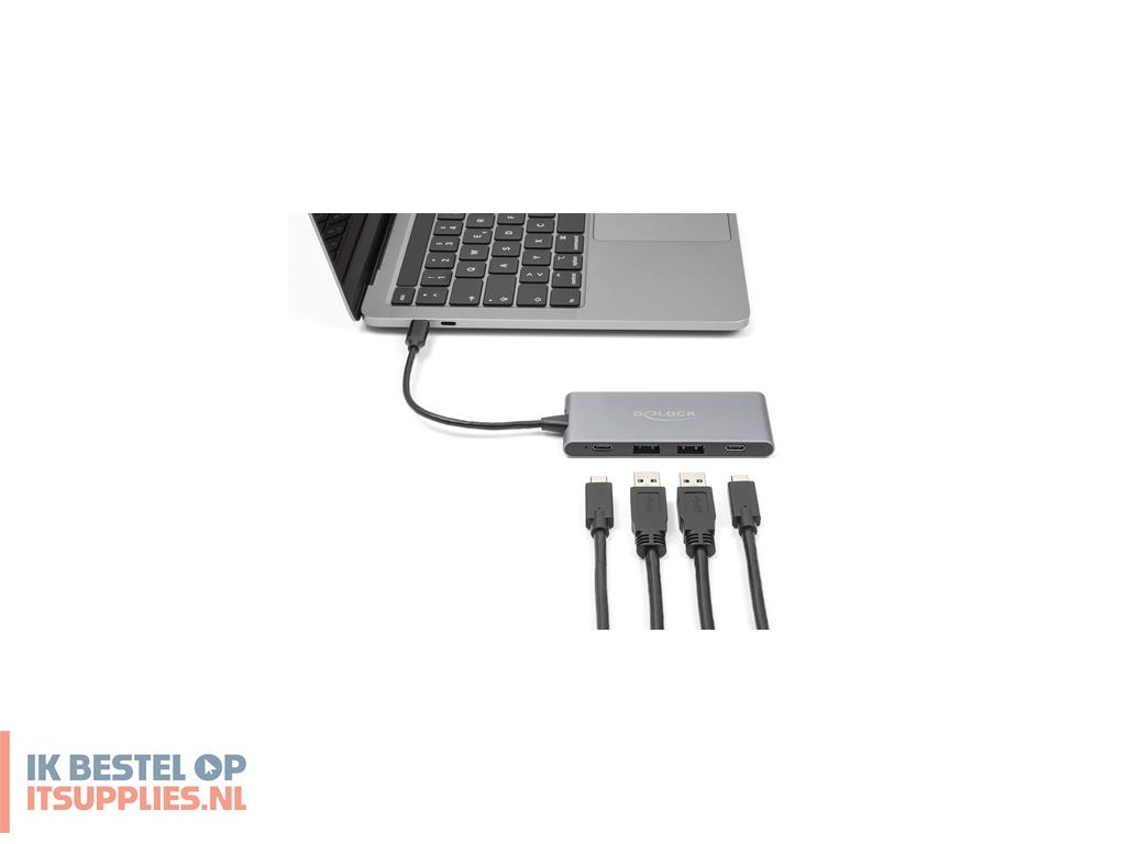 3519236-delock_64111_interface_hub_usb_32_gen_2_31_gen_2_type-c_10000_mbits_grijs