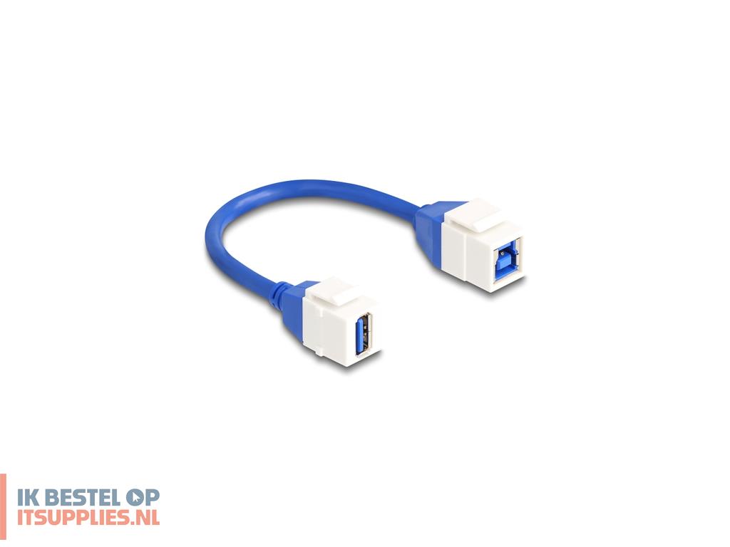 2238140-delock_86970_usb-kabel_usb_32_gen_1_31_gen_1_0-2_m_usb_a_usb_b_blauw-_wit
