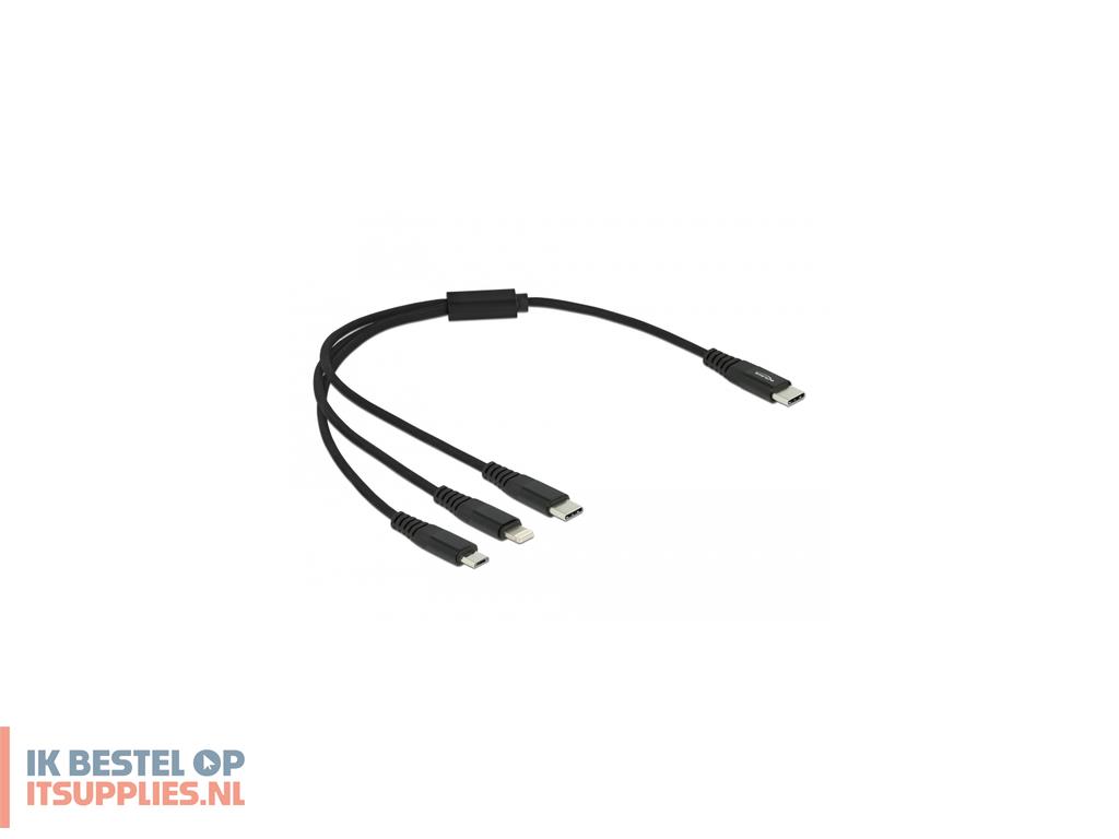 0347227-delock_87148_usb-kabel_usb_20_0-3_m_usb_c_usb_cmicro-usb_blightning_zwart